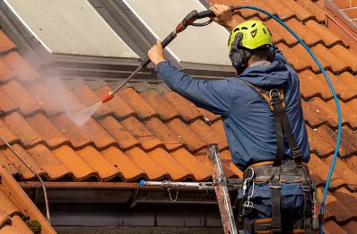 Démoussage et hydrofuge de toiture à Meunet-Planches